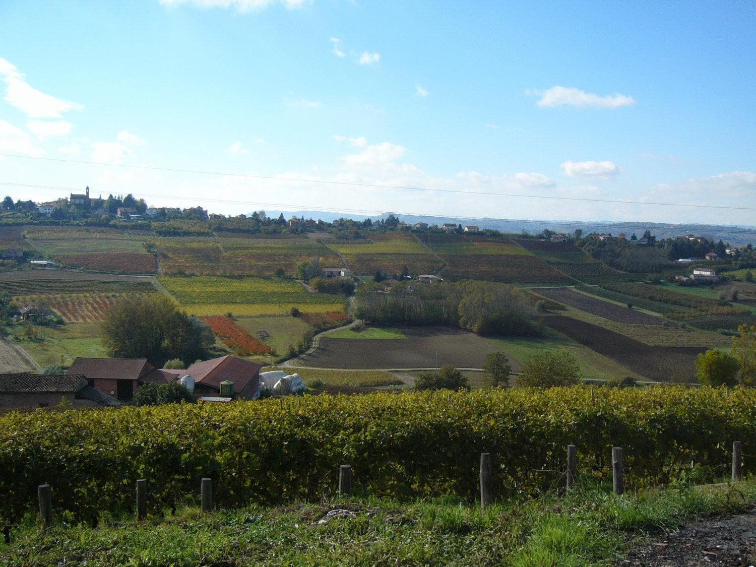 Agriturismo Podere La Piazza Costigliole d'Asti Exteriér fotografie